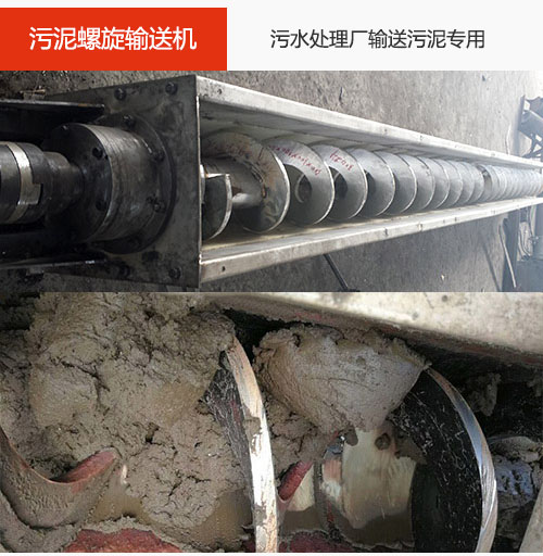 污泥午夜看片网站水平/倾斜输送，污水厂输送污泥专用设备。