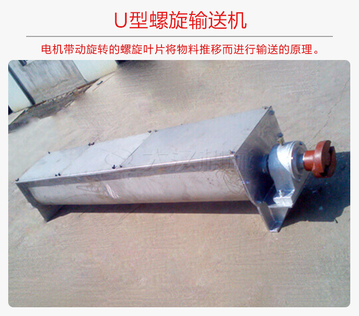 U型午夜看片网站